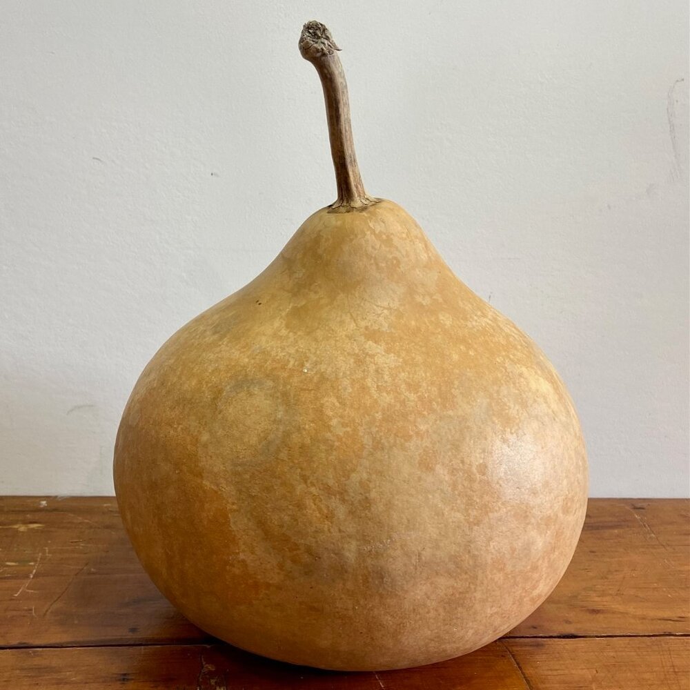 BIRDHOUSE GOURD SEEDS - Pkg of 15